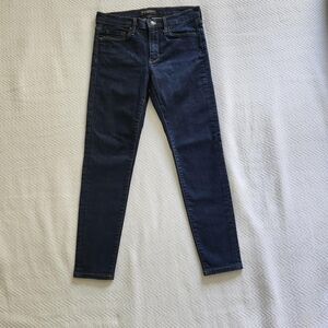 Banana Republic Blue Skinny Jeans Modern Fit